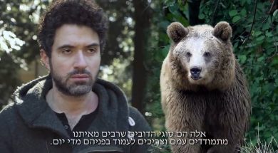Face Your Bears- An unbelievable, true story by R’ Yoel Gold
