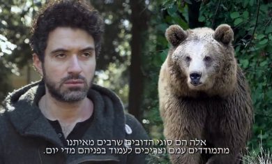Face Your Bears- An unbelievable, true story by R’ Yoel Gold