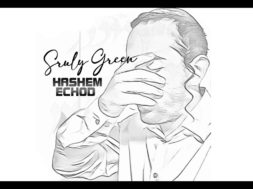 Sruly Green – Hashem Echod