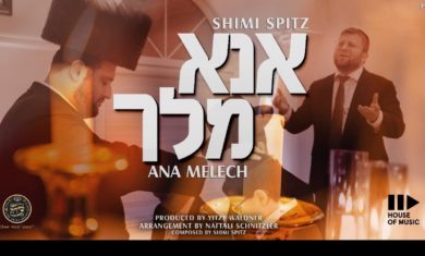 Shimi Spitz – Ana Melech