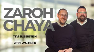 Zaroh Chaya- Tzvi Silberstein & Yitzy Waldner (Official Music Video)